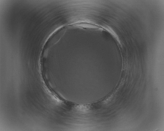 X0000070180806200606091505