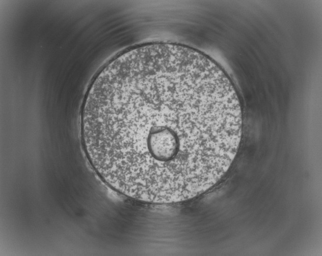 X0000070180807200606091505