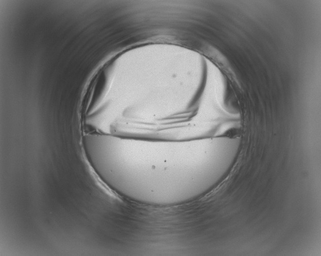 X0000070180808200606091505