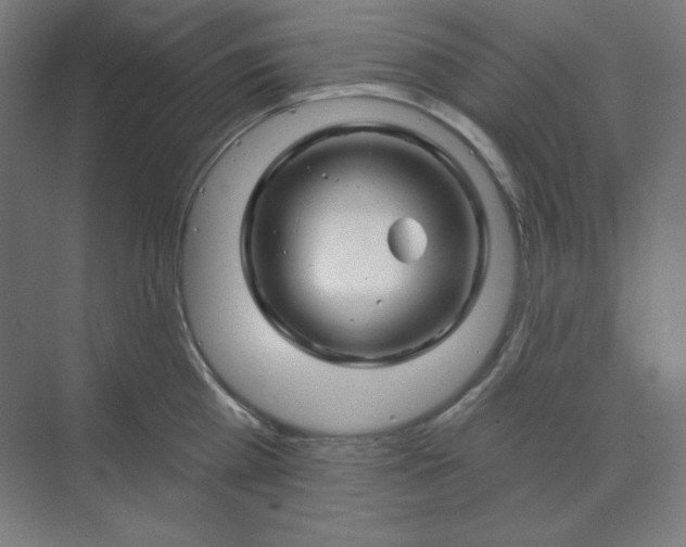 X0000070180809200606091505