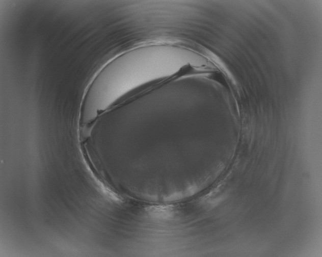 X0000070180810200606091505