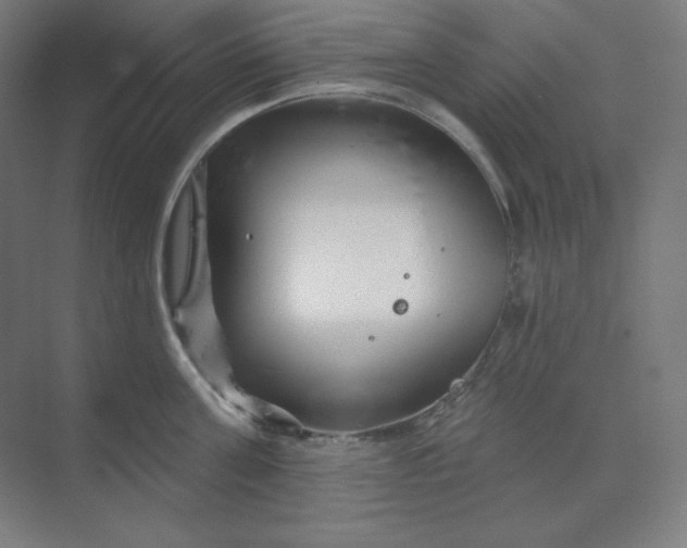 X0000070180811200606091505