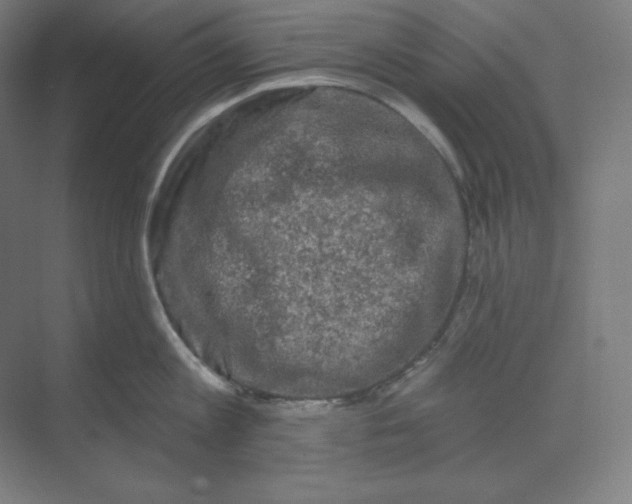 X0000070180813200606091505