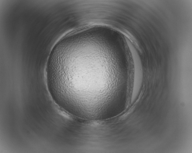 X0000070180814200606091505