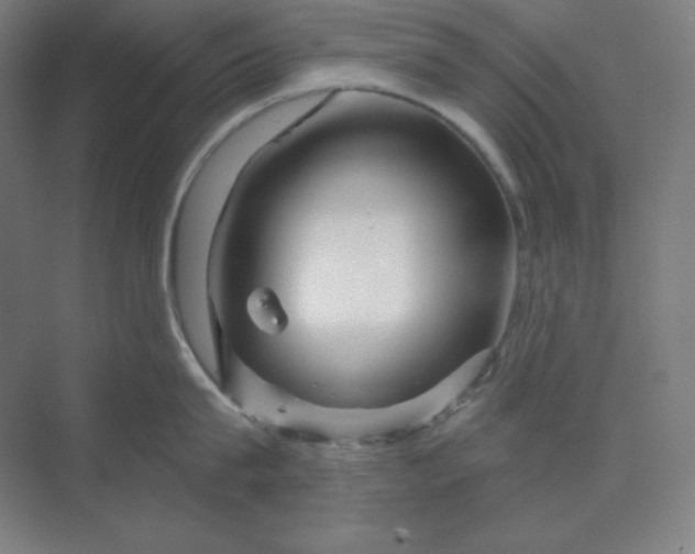 X0000070180815200606091505