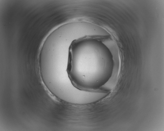 X0000070180816200606091505