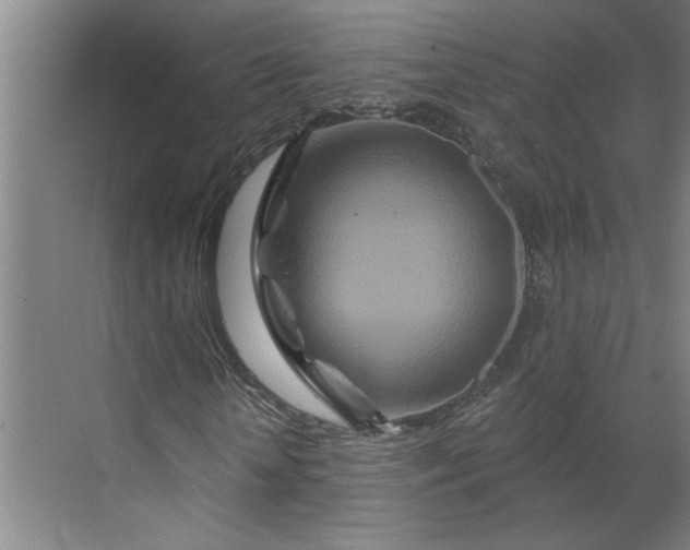 X0000070180818200606091504