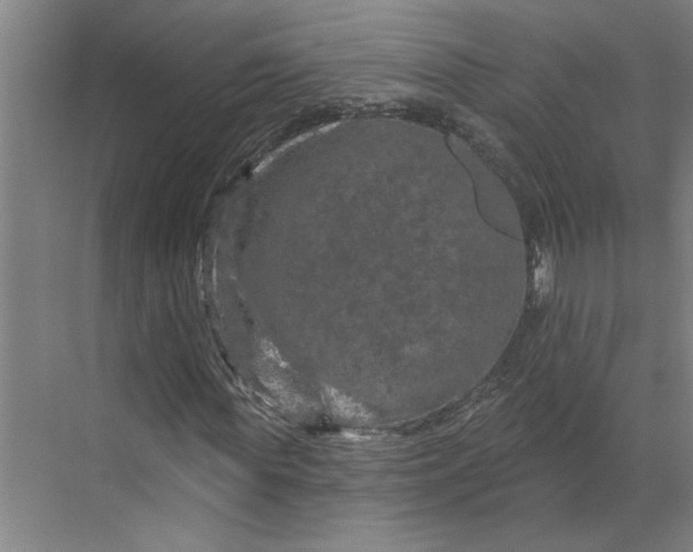 X0000070180819200606091504