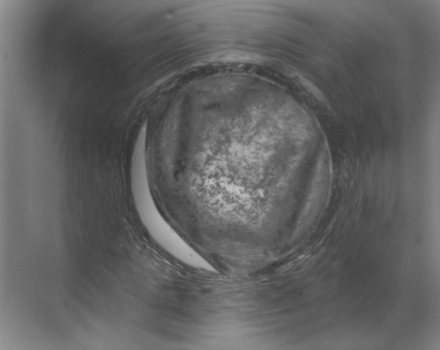 X0000070180821200606091504