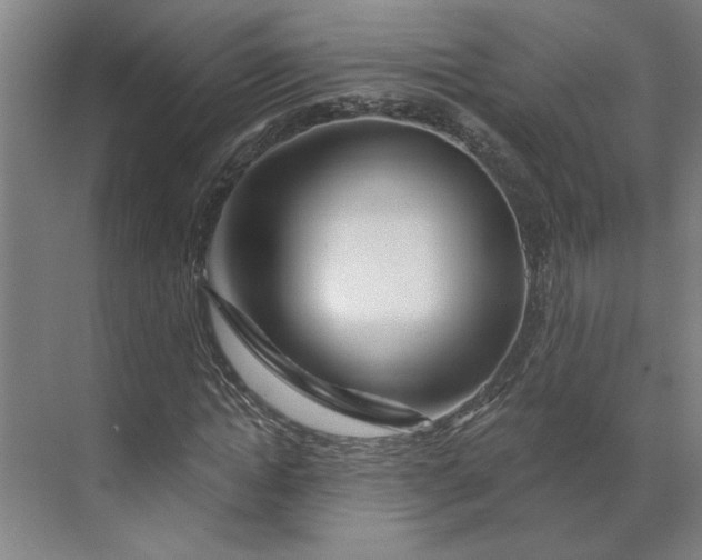 X0000070180822200606091504