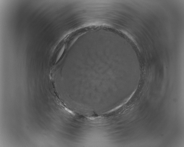 X0000070180823200606091504