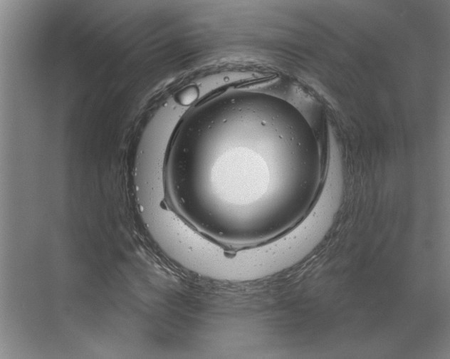 X0000070180824200606091504