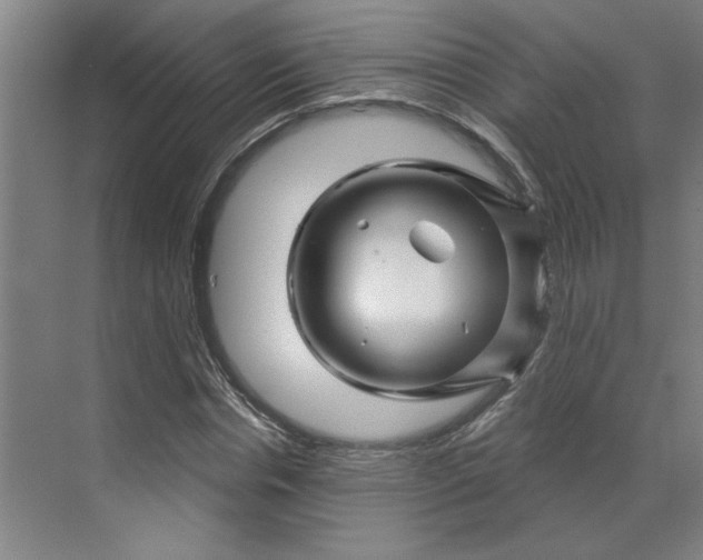 X0000070180826200606091504