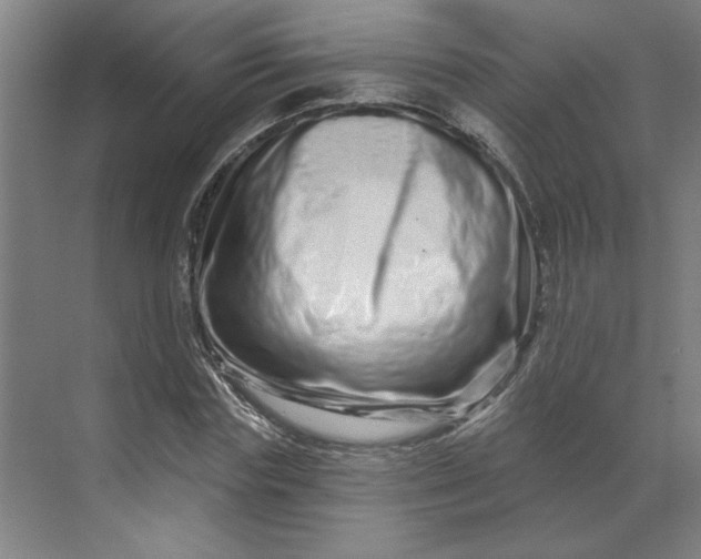 X0000070180827200606091504