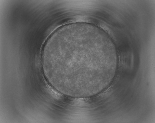 X0000070180828200606091504