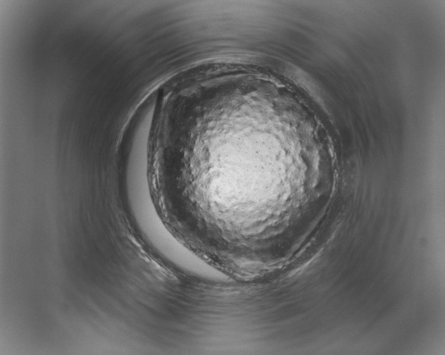 X0000070180829200606091504