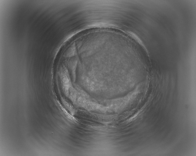 X0000070180831200606091504