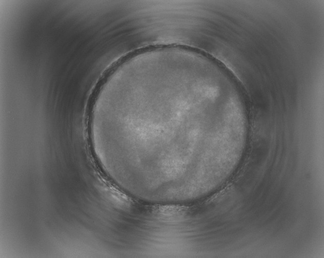 X0000070180832200606091504