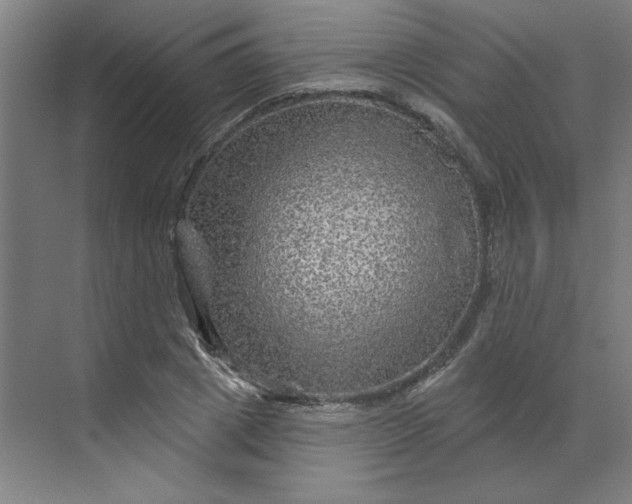 X0000070180833200606091504