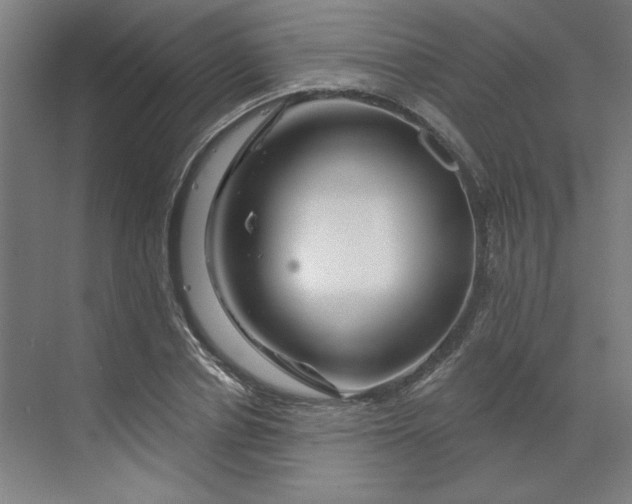 X0000070180834200606091504