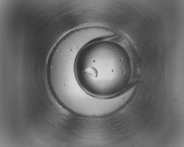 X0000070180836200606091504