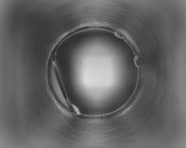 X0000070180837200606091504