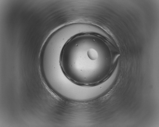 X0000070180838200606091504