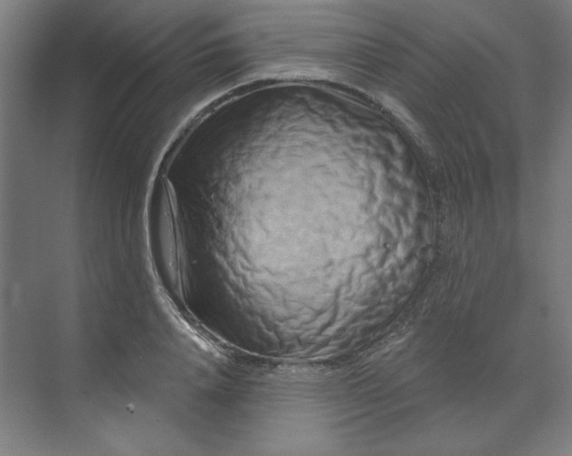 X0000070180840200606091504