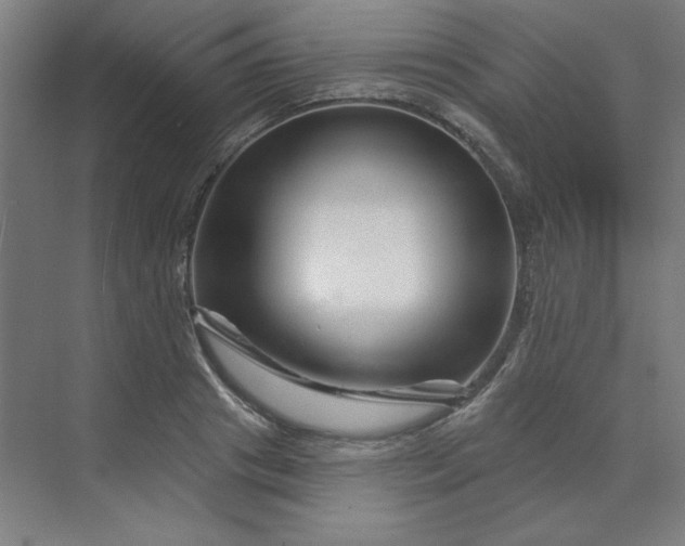 X0000070180841200606091504