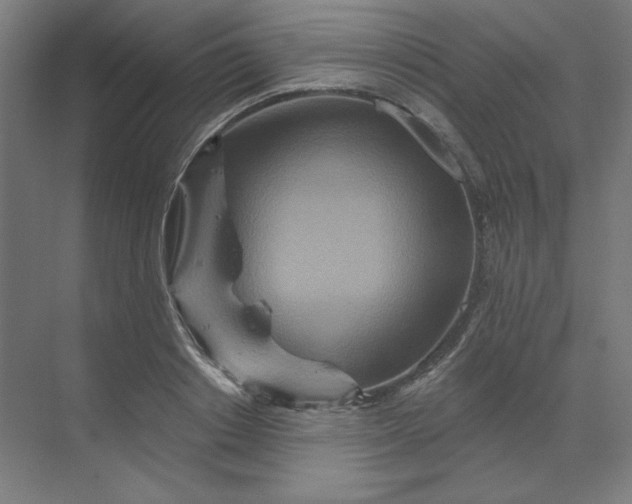 X0000070180842200606091504