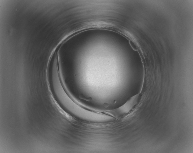 X0000070180843200606091504