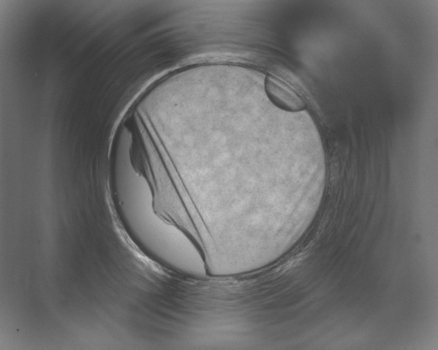 X0000070180844200606091504