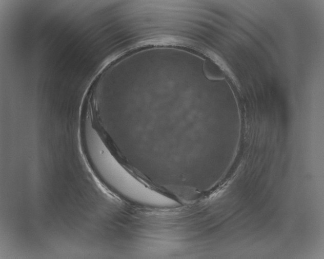 X0000070180845200606091504