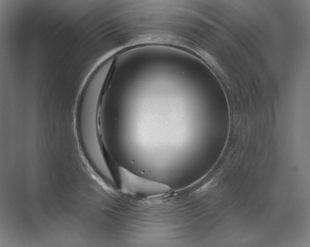 X0000070180846200606091504