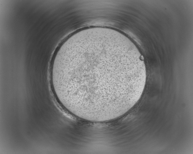 X0000070180848200606091504