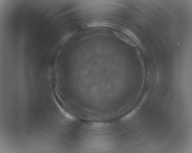 X0000070180849200606091504