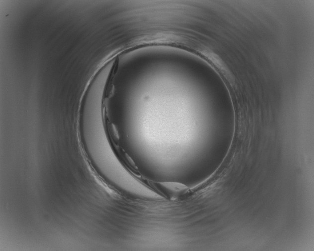 X0000070180850200606091504