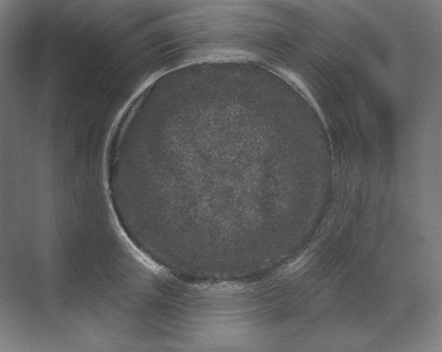 X0000070180851200606091505