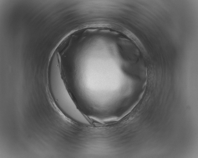 X0000070180852200606091505