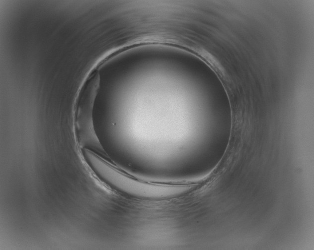 X0000070180854200606091505