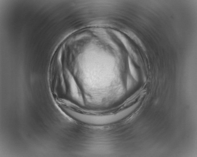 X0000070180855200606091505