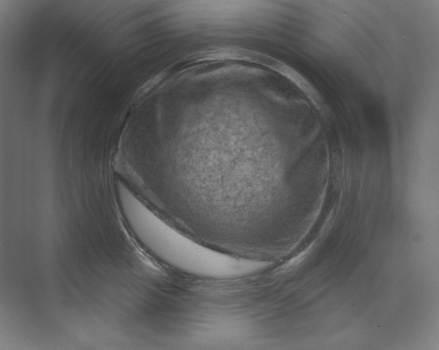 X0000070180857200606091505