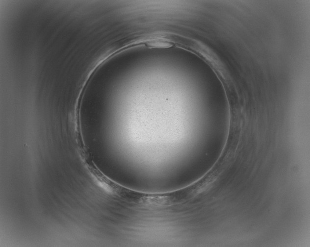 X0000070180858200606091505