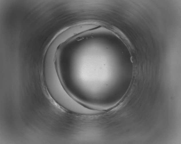 X0000070180860200606091505