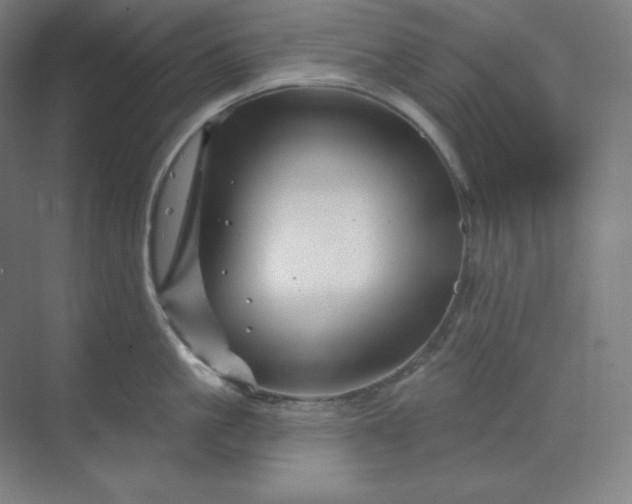 X0000070180861200606091505