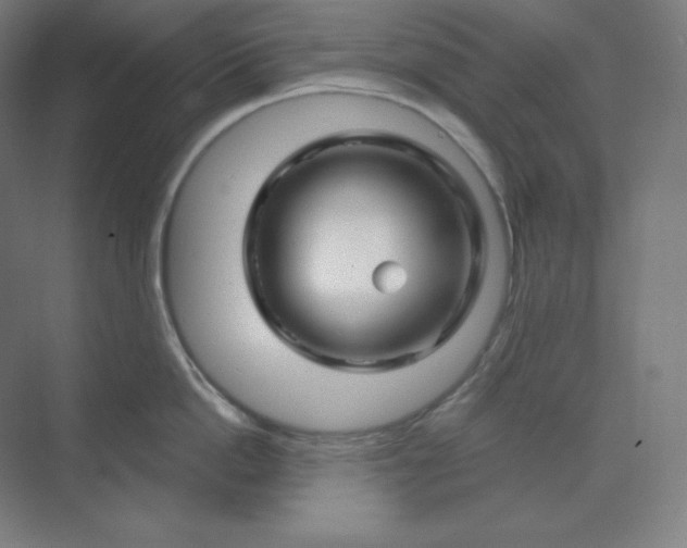 X0000070180862200606091505