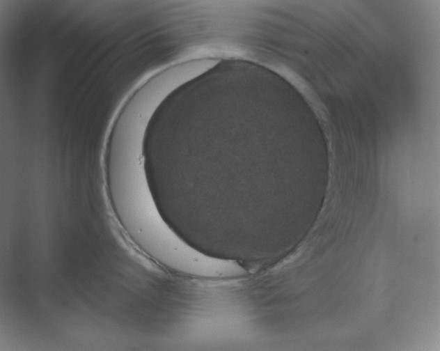 X0000070180864200606091505