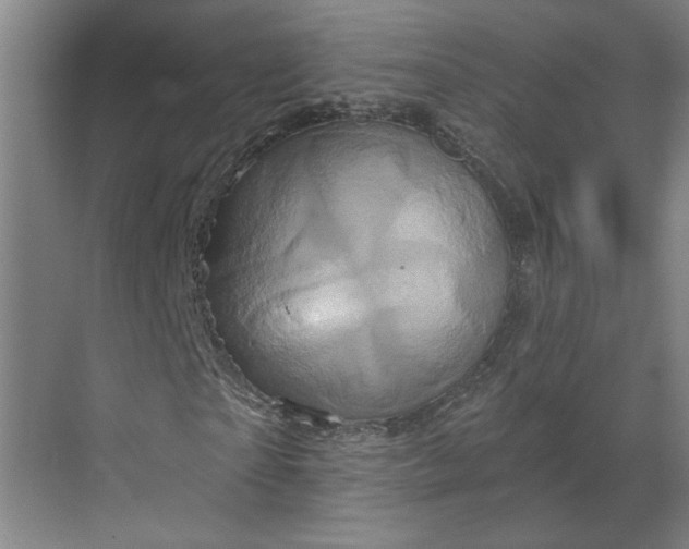 X0000070180865200606091504