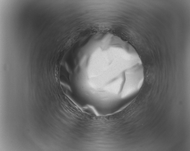 X0000070180866200606091504