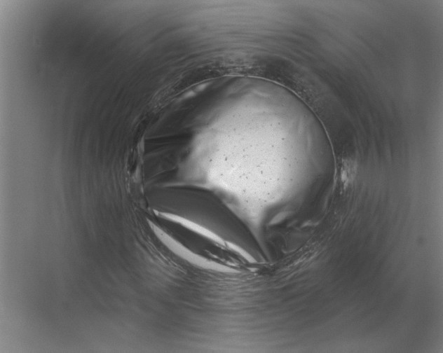 X0000070180867200606091504